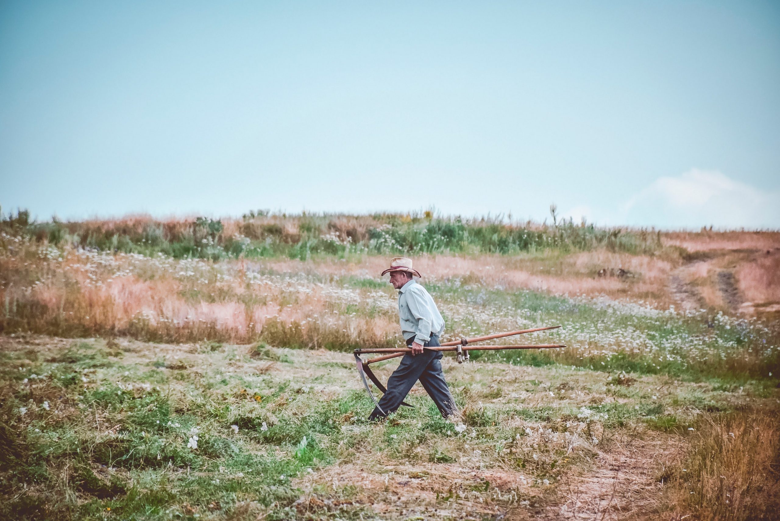 Thomas Signe. Digitalizando el campo en LATAM