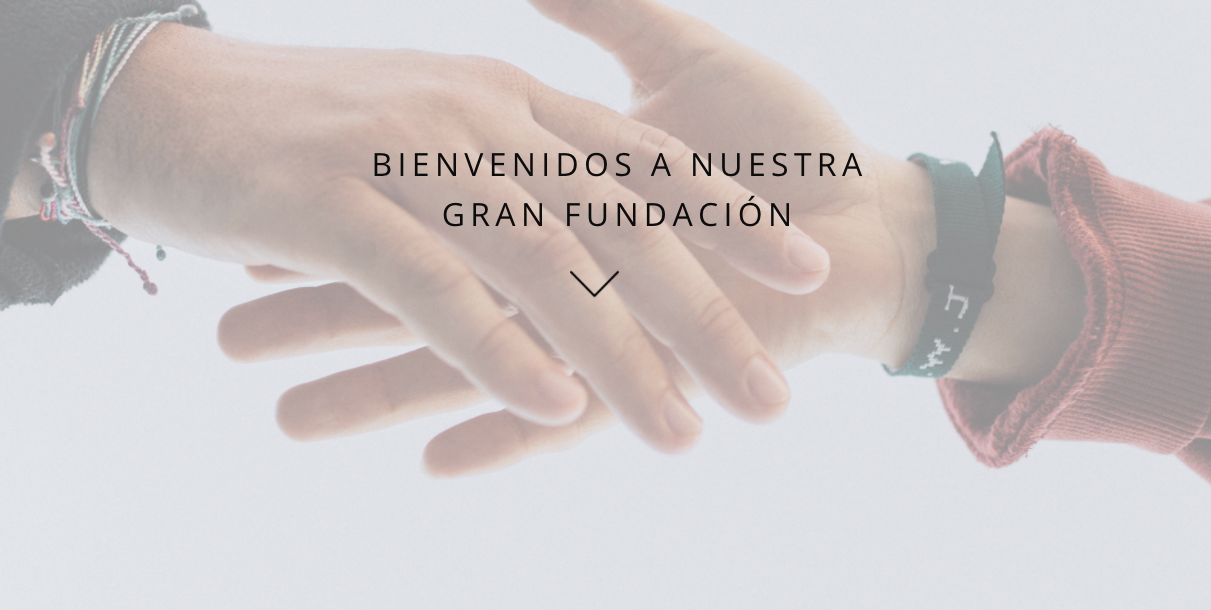 La Fundación Signe estrena web