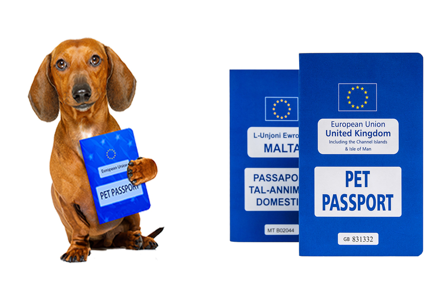 Pasaporte para mascotas