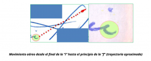 laboratorio signe